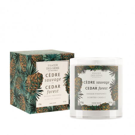 Panier Des Sens Cedar Forest Scented Candle