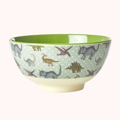 Rice Dino Bowl (M)